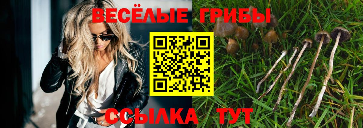 Галлюциногенные грибы Psilocybe Керчь